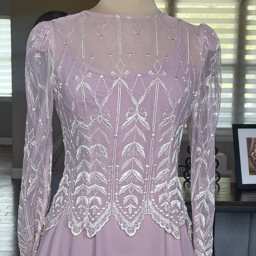 Vintage Cachet Bari Protas Pink Rose Dress 7/8 Sheer Embroidered Formal Gown - Picture 3 of 15